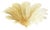 Venetian Amber Leaves Graniglia Murano Glass Flush Mount by Simoeng for Simoeng For Sale