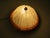 The lamps have a round pine wooden wall plate on which a half glass ribbed sphere of glass, with ice glass effect is...