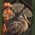 Apricity features a striking diptych that juxtaposes two herons against vibrant floral backgrounds, each panel showcasing...