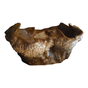 1960s Hawaiian Curly Koa Fine Art Burl Bowl
