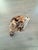 Stunning Natural Aspen Wood Bowl For Sale - Image 4 of 12