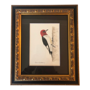 Original Redheaded Woodpecker Watercolor by James Mahoney