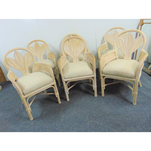 Rattan Fan Back White Washed Dining Chairs Set of 6 Chairish