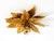 1980s Large Gold-Plated Ceiling Lamp in the style of Hans Kögl Florentine, 1980s For Sale - Image 5 of 18