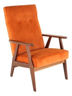 Scandinavian Waalre Armchair, Netherlands