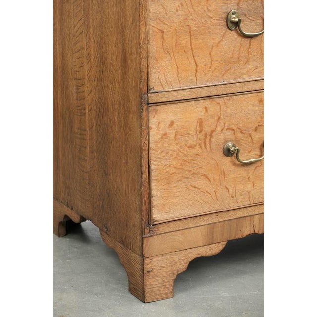 Large Antique English Blonde Oak Chest of Drawers with Gilt Elements, 18th Century For Sale - Image 11 of 14