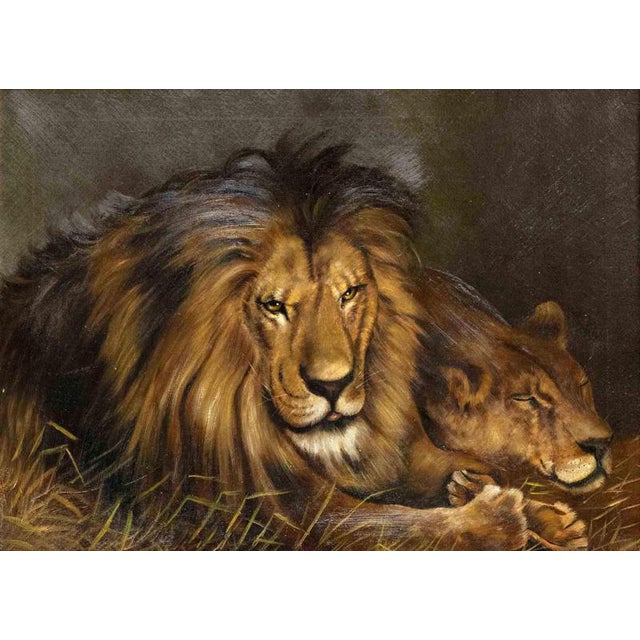 Unknown, Lions, 1945, Oil For Sale