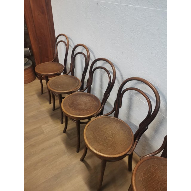 Wood Vintage Bistro Chairs, 1920s, Set of 5 For Sale - Image 7 of 10