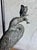 Vintage Maitland-Smith Bronze Heron Tortoise Tessellated Shell Table Lamp For Sale In Miami - Image 6 of 9