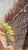Vintage Paintings Paris Street Scene 2pc For Sale - Image 13 of 18