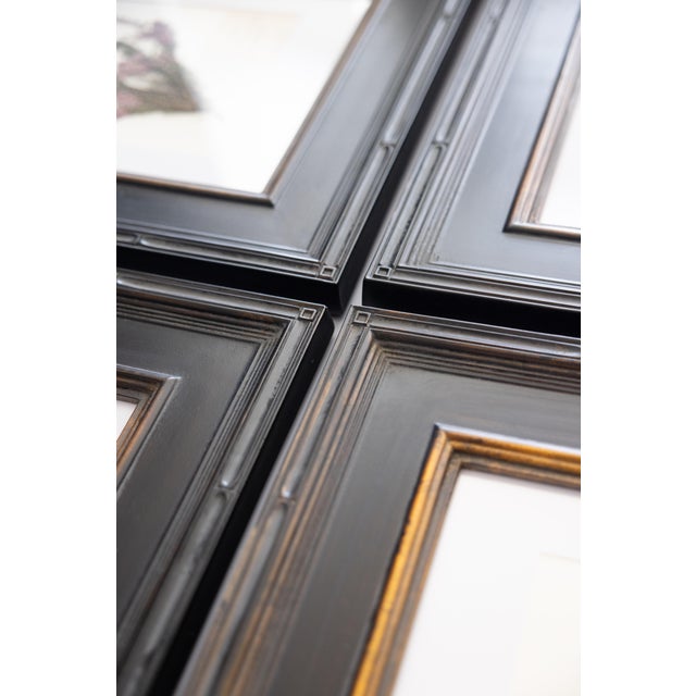 Custom Framed Vintage Finnish Herbarium Botanical Specimens - Set of Four For Sale - Image 16 of 18