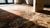 Textile Late 19th Century Central Asian Khotan Carpet ( 6'9" x 13'3" - 205 x 404 ) For Sale - Image 7 of 9
