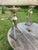 1950s Mid-Century Modern Atomic Brutalist Majestic Lamp Set ~ Original Fiberglass Shades For Sale - Image 18 of 18