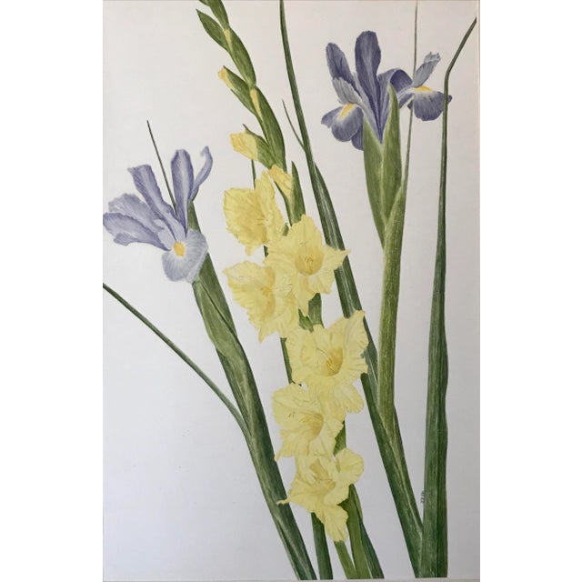 Realism Vintage Original Watercolor Flowers Iris and Gladiolas Janet Delonga For Sale - Image 3 of 8