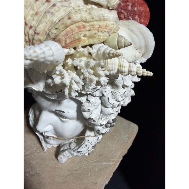 Celestial Meets the Sea, Shell Incrusted Bust-Coastal Art Sculpture For Sale - Image 13 of 14