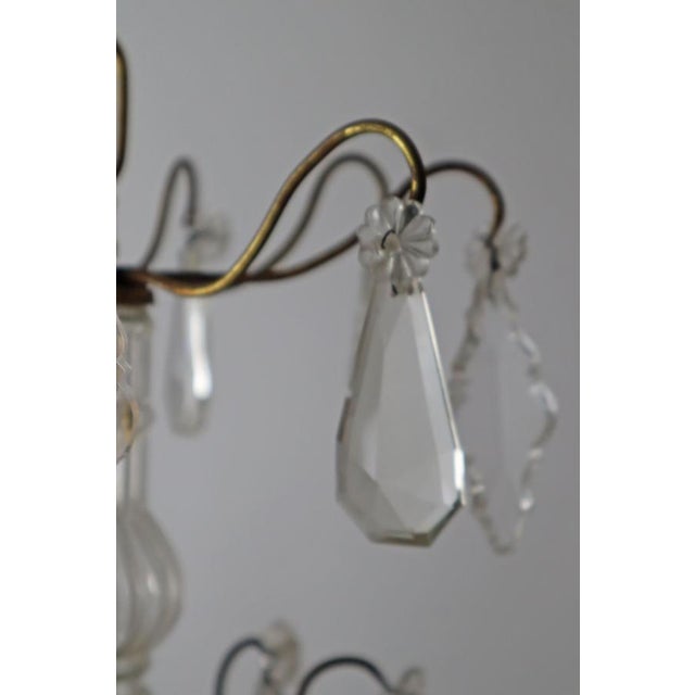 Chandelier with Clear Crystal Pendants and Champagne Smoky Glass For Sale - Image 11 of 18