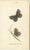 William Home Lizars, Cabinet-Size Butterfly Jewel-Tone Species, 1835, Engravings, Set of 6 For Sale - Image 6 of 9