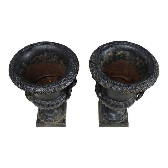 A pair of antique cast iron garden urns, dating to approximately 1900. Each urn features a classical form, characterized...