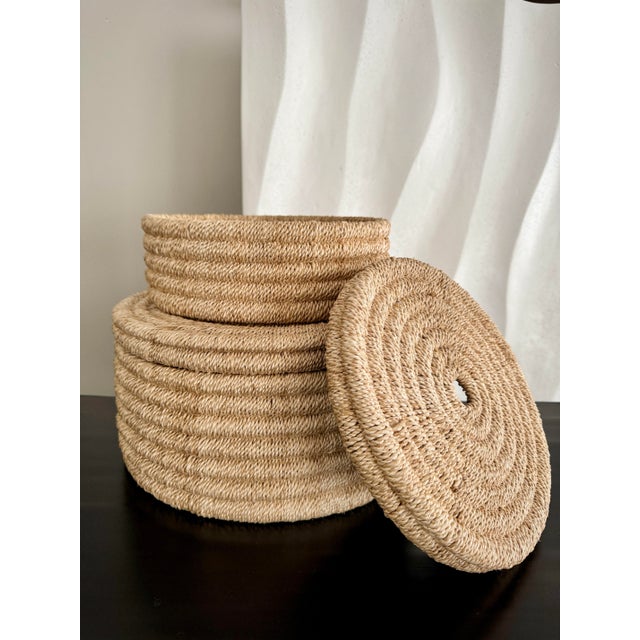 2020s Set of 2 Round Woven Nesting Baskets Yvon Organic Modern Medium and Large Abaca Rope Box Set With Lids by Pigeon & Poodle Line by Made Goods For Sale - Image 5 of 12