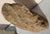 Auburn Large Petrified Wood Log For Sale - Image 8 of 13