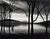 Contemporary Brett Weston "Lake Patzcuaro, Mexico" Silver Print For Sale - Image 3 of 8