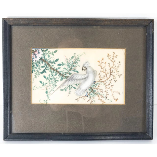 Paper 19th Century Chinese Export Rice Paper Pith Painting With Cockatoo Parrot For Sale - Image 7 of 7