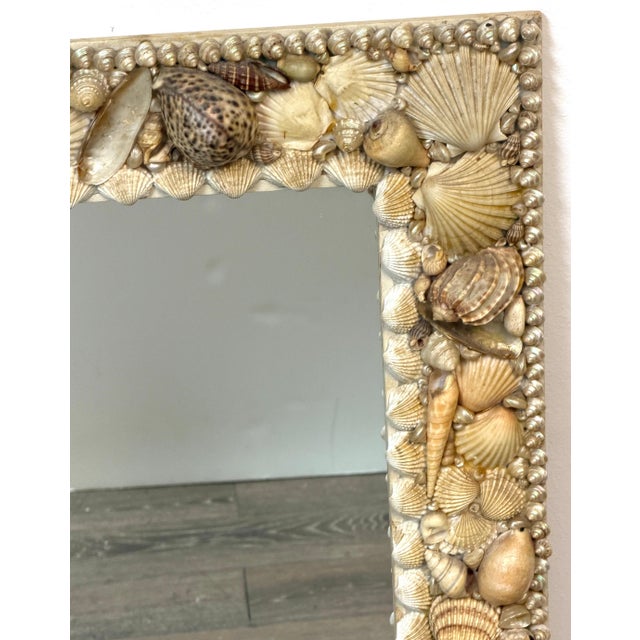 1960s Coastal Bohemian Specimen Shell Encrusted Mirror with Tiger Cowries For Sale - Image 10 of 14