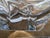 Daum Mid-Century Daum France Rare Large 26.5" Crystal Swallowtail Centerpiece Bowl - Pristine For Sale - Image 4 of 11