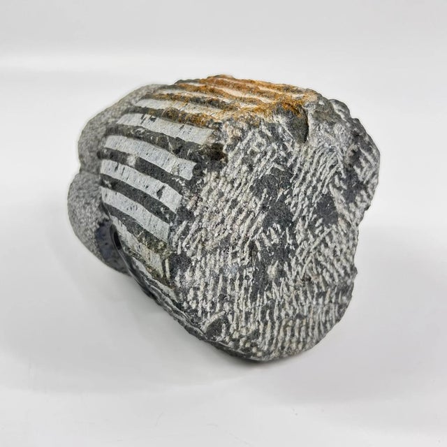 Early 20th Century Early 20th Century Shona Stone Woman Sculpture In The Style of Colleen For Sale - Image 5 of 8