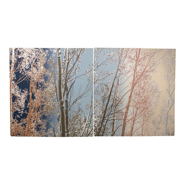 Paula Crane "Sky Banner II & III" Diptych Signed Fine Art Etchings 1980s For Sale