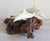 Mid-Century Modern Vintage John Perry Dolphin Pod Sculpture on Natural Burlwood Base – 14" For Sale - Image 3 of 12