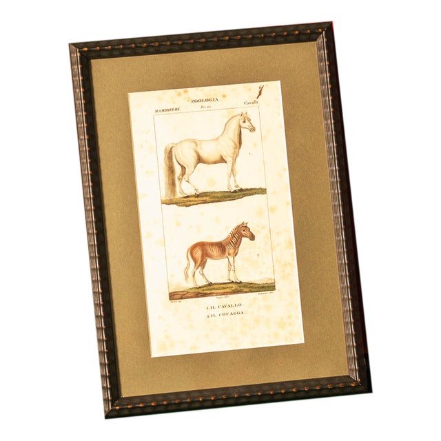 Antique Horse Prints, Set of 2 For Sale
