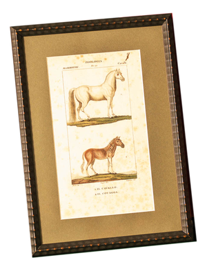 Antique Horse Prints, Set of 2