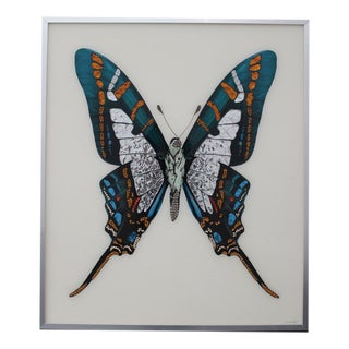 Mihele Astolfi, Blue Butterfly, 2000s, Mixed Media, Framed For Sale