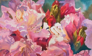 'Sisters Blushing' by Michael Bailey, Large Horticultural Watercolor, Rhododendrons, American Watercolor Society