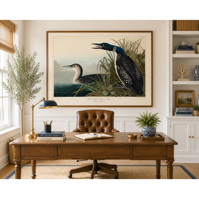 Not Yet Made - Made To Order Great Northern Diver or Loon, Vintage Art Print Reproduction From Birds of America by John James Audubon, 60" X 40" For Sale - Image 5 of 11