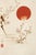 19th Century Sun and Plum Branches Japanese Botanical Fine Art Print by Shibata Zeshin — 40" X 60" For Sale