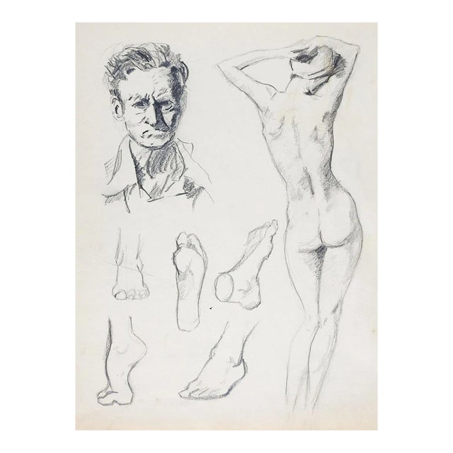 Vintage Mid Century Drawing Studies For Sale