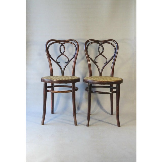 Brown No. 561 Chairs by Michael Thonet for Gebrüder Thonet, 1925, Set of 2 For Sale - Image 8 of 13
