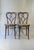 Brown No. 561 Chairs by Michael Thonet for Gebrüder Thonet, 1925, Set of 2 For Sale - Image 8 of 13