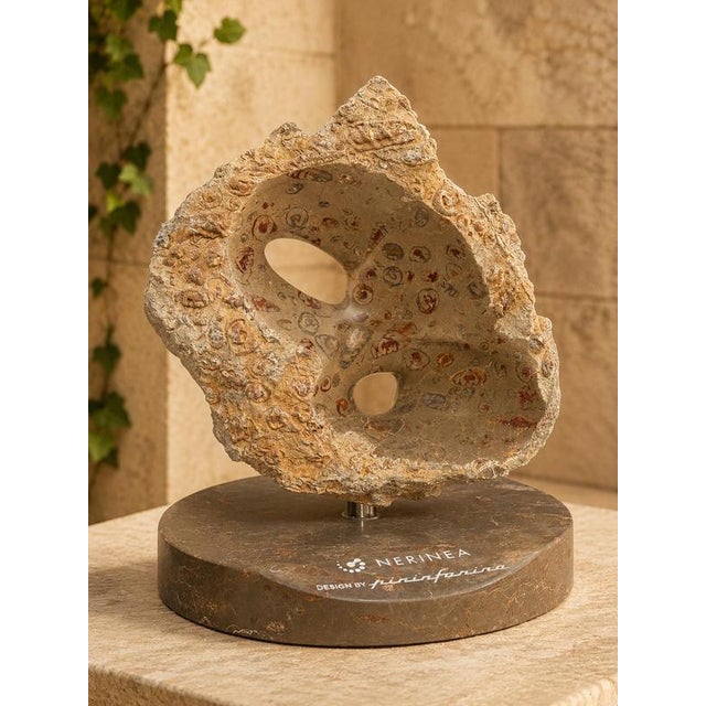 Axis Rock in Jurassic Fossil Stone by Nerinea For Sale - Image 4 of 5