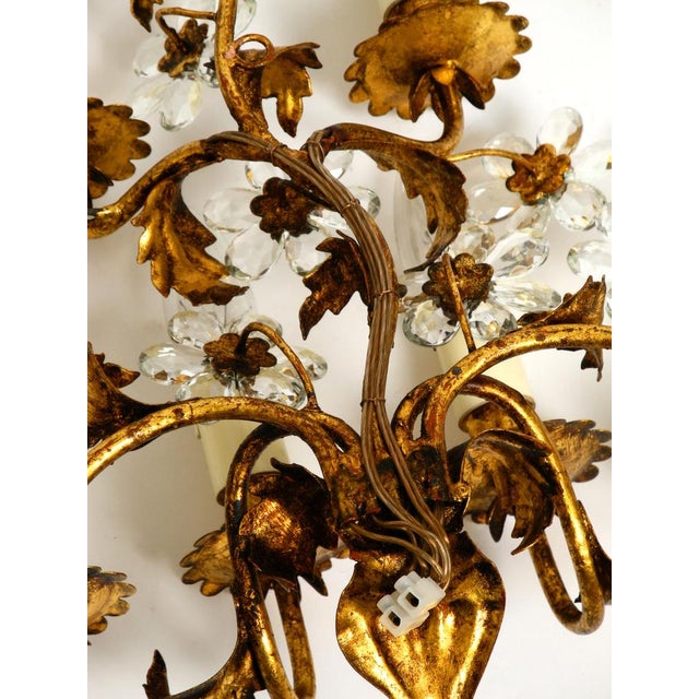 Large Italian Gold Plated Wall Lamp with Six Sockets from Banci Firenze, 1950s For Sale - Image 15 of 18