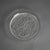 Transparent Early 20th Century Twelve-Piece French Lalique Commemorative Crystal Plate Set For Sale - Image 8 of 10