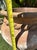Mediterranean Vintage Mediterranean Terracotta Garden Planter With Applied Rope Detail & Aged Patina For Sale - Image 3 of 10
