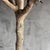Realistic Bottle Tree 8′ For Sale In Los Angeles - Image 6 of 9