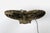 Gray Vintage Cast Iron Butterfly Table Lamp Openwork Accent Light Shadow Casting For Sale - Image 8 of 12