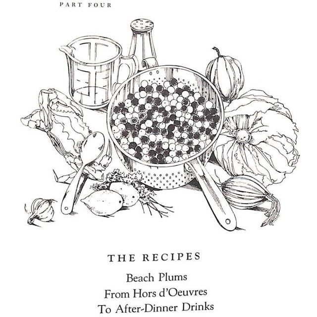 "Plum Crazy: A Book About Beach Plums" 1973 Mirel, Elizabeth Post For Sale - Image 4 of 10