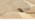 Textile Hand-Knotted Wool Premium Rug by Azele Studio For Sale - Image 7 of 10