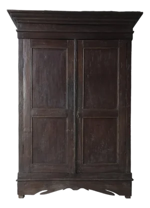 Large Scale 19th Century Antique European Wardrobe Cabinet