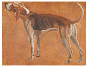 Hunting Dog, 1990, Oil on Canvas
